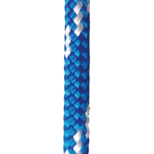 BUSINESS COLOR DT